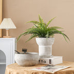 Modern Plant Sculpture | Kelmera