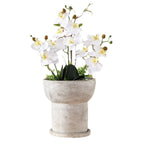 Modern Plant Sculpture | Kelmera