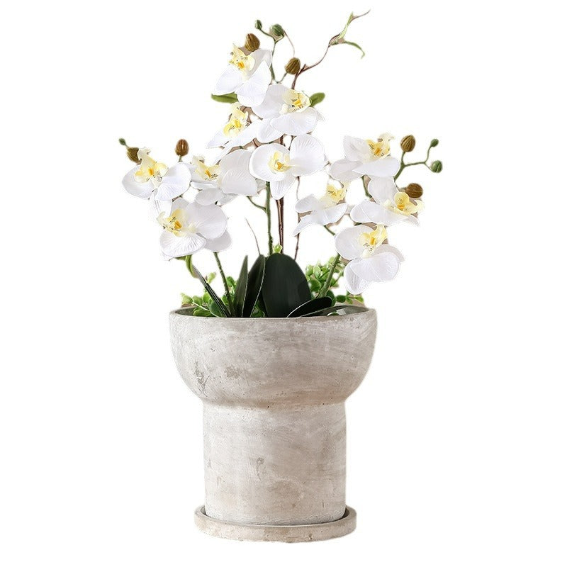 Modern Plant Sculpture | Kelmera