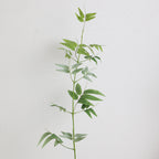 Natural Artificial Branch with Intricately Detailed Leaves | Kelmera