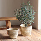 Natural Decoration Basket | Kelmera