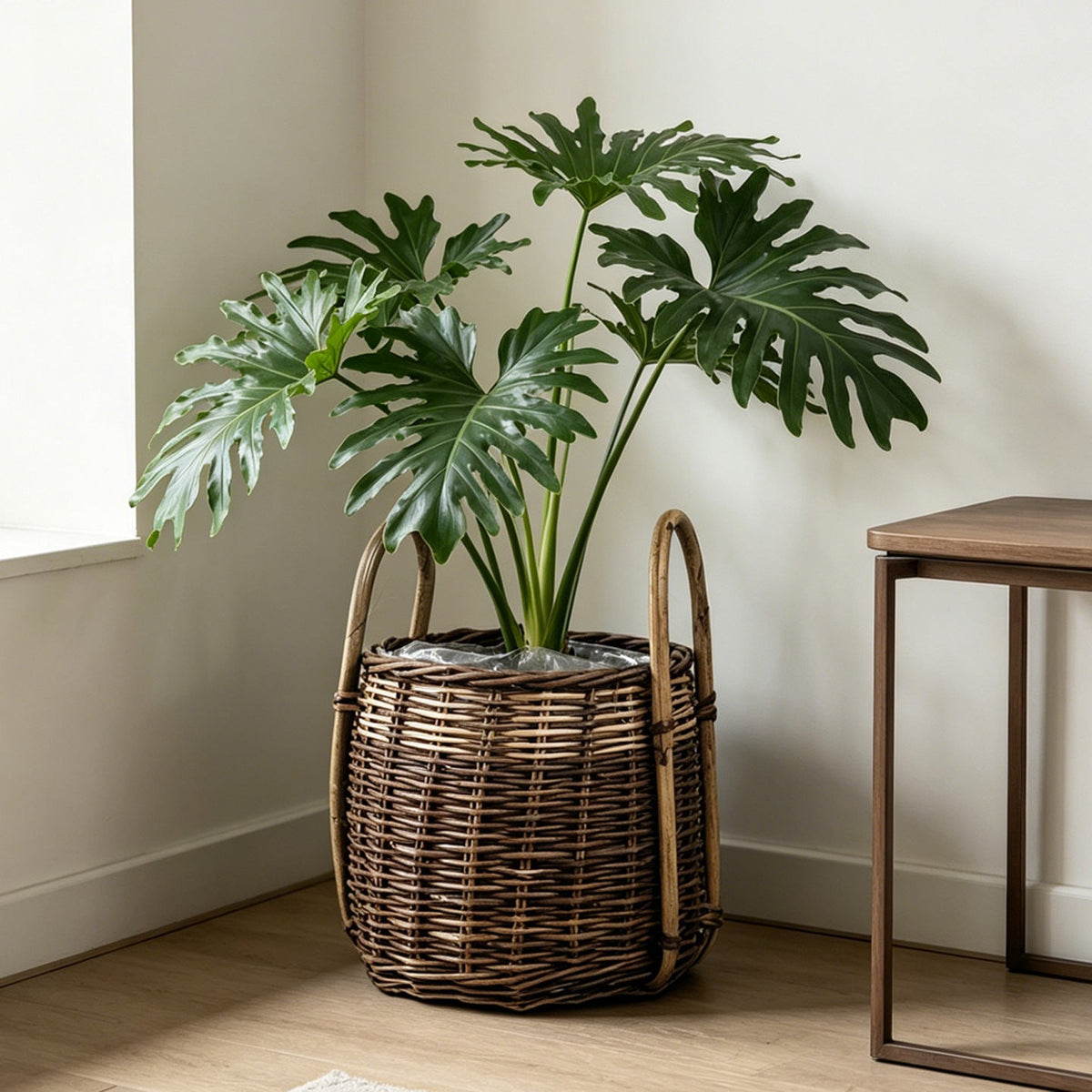 Natural Woven Storage Basket | Kelmera