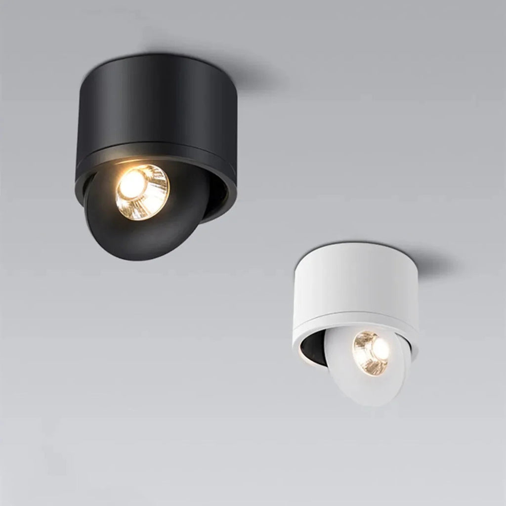 Olessa Surface Mounted Downlight