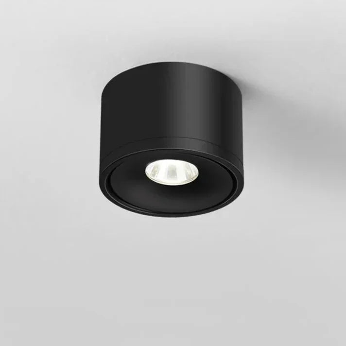 Olessa Surface Mounted Downlight