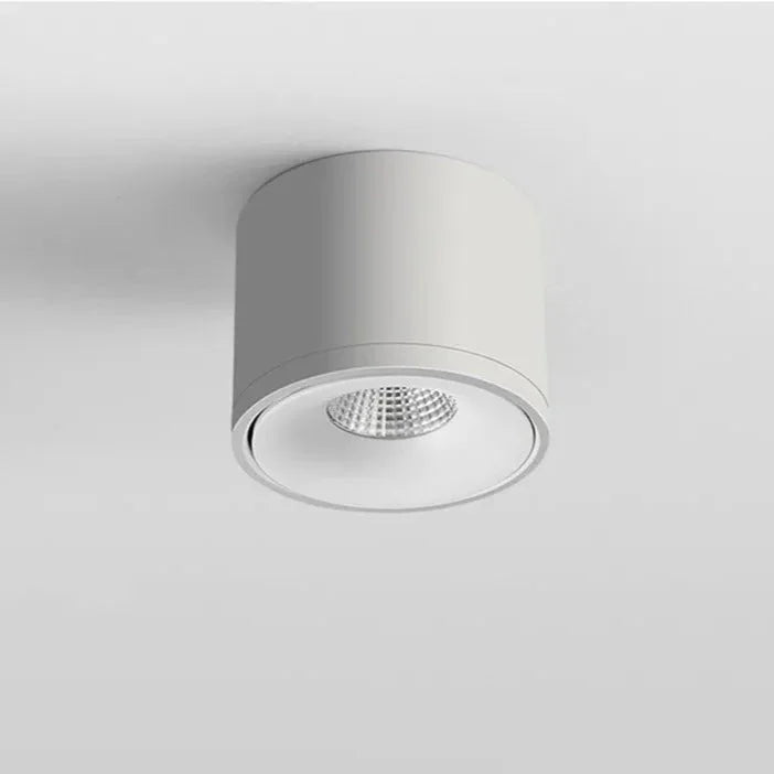Olessa Surface Mounted Downlight