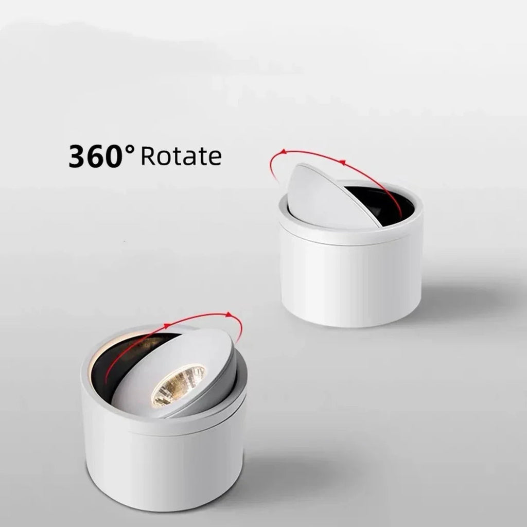 Olessa Surface Mounted Downlight
