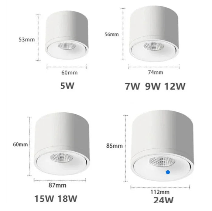 Olessa Surface Mounted Downlight