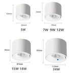 Olessa Surface Mounted Downlight