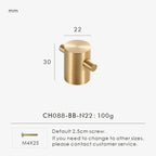 Olevessa Brass Wall Hook