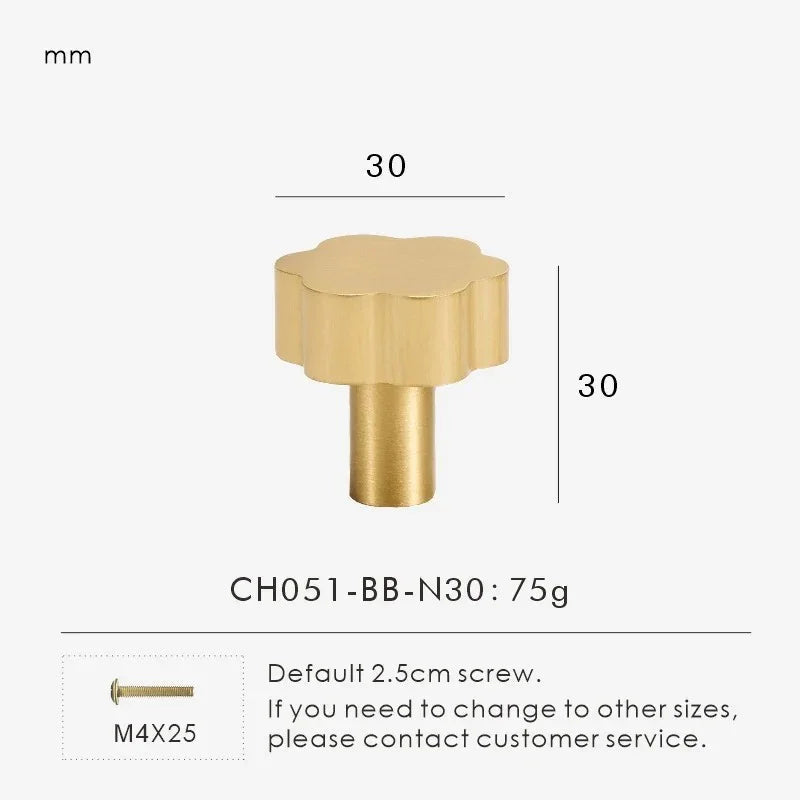 Olrara Brass Furniture Handle