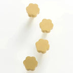 Olrara Brass Furniture Handle