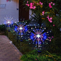 Outdoor Solar Firework Starburst LED Garden Stake Lights | Kelmera