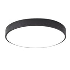 Pertella Ceiling Lamp