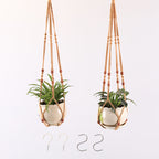 Plant Hanging Holder | Kelmera