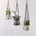 Plant Hanging Holder | Kelmera