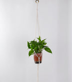 Plant-Hanging Macrame Shelf | Kelmera