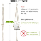 Plant Hanging Pot | Kelmera
