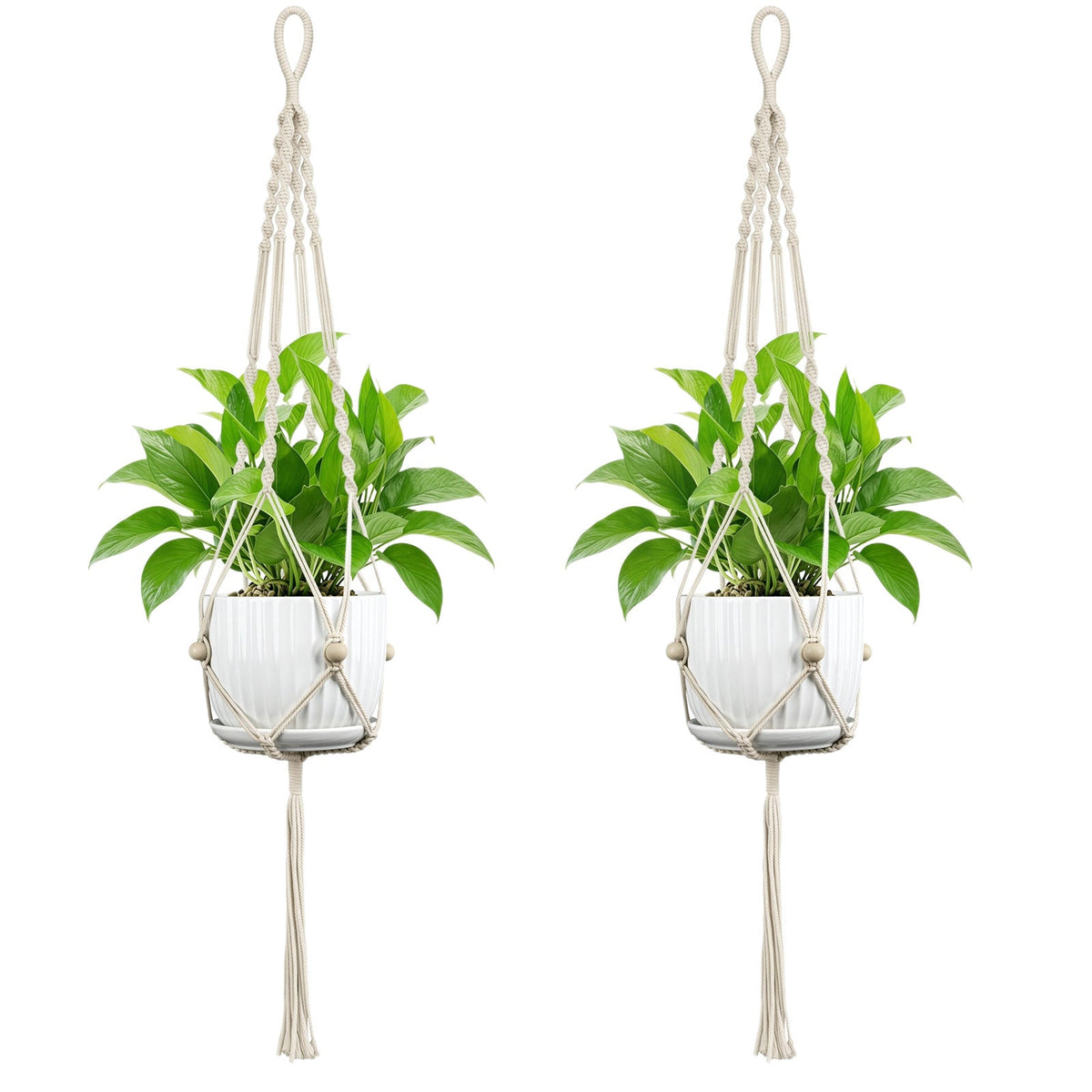 Plant Hanging Pot | Kelmera