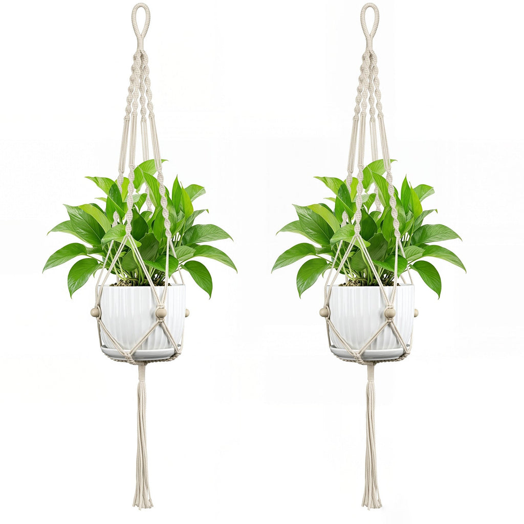 Plant Hanging Pot | Kelmera