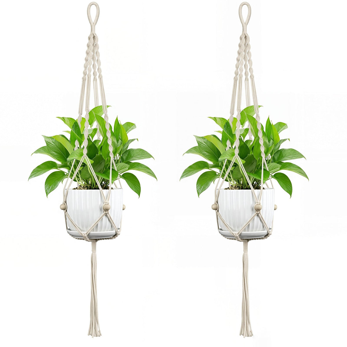Plant Hanging Pot | Kelmera