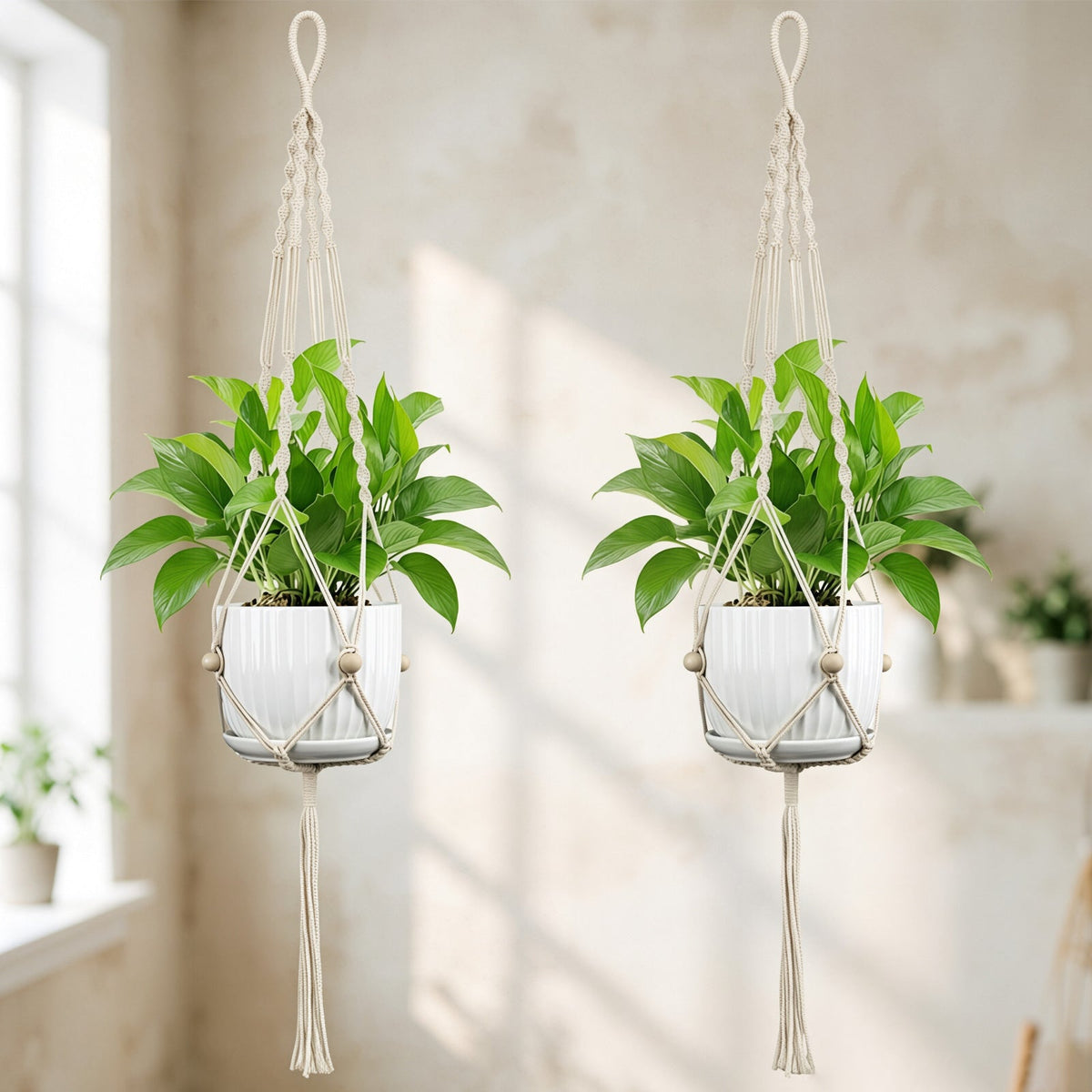 Plant Hanging Pot | Kelmera
