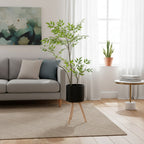 Plant Pot with Wooden Stand | Kelmera