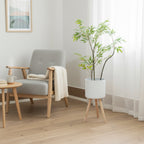 Plant Pot with Wooden Stand | Kelmera