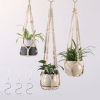 Plant Pots Suspension | Kelmera