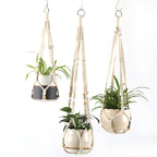 Plant Pots Suspension | Kelmera