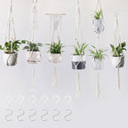 Plant Pots Suspension | Kelmera