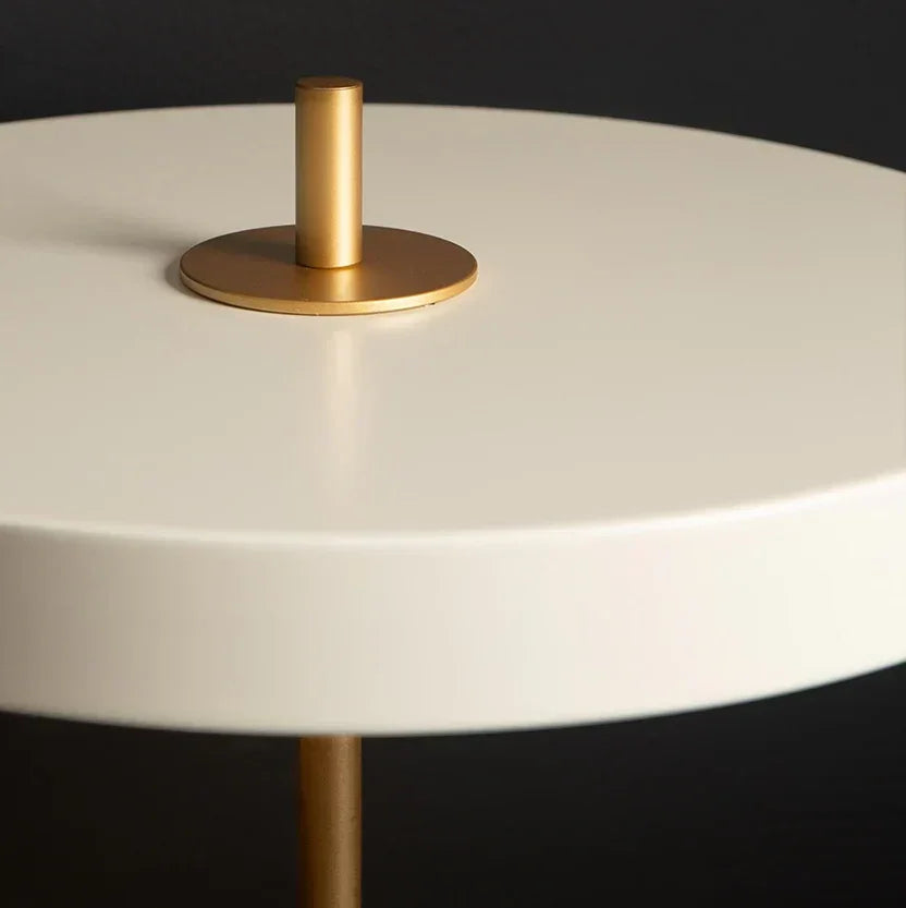 Quinndirra LED Portable Lamp