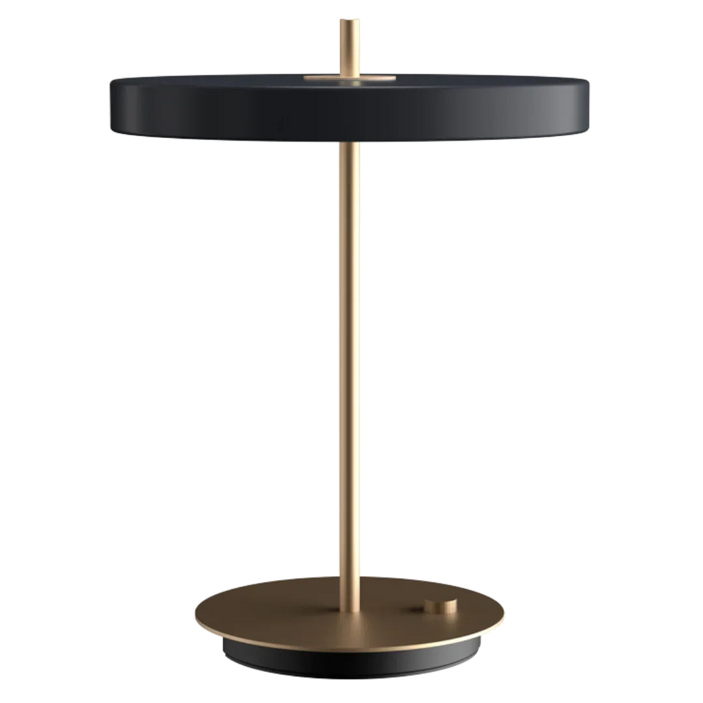 Quinndirra LED Portable Lamp