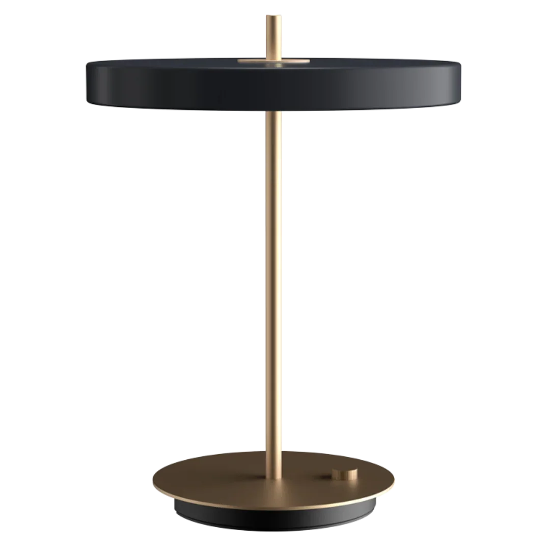 Quinndirra LED Portable Lamp