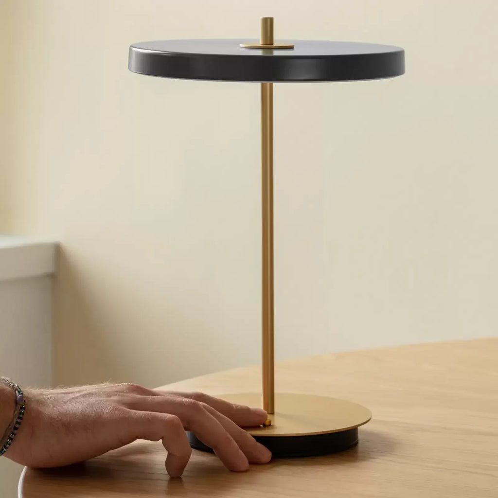 Quinndirra LED Portable Lamp
