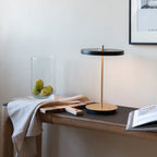 Quinndirra LED Portable Lamp