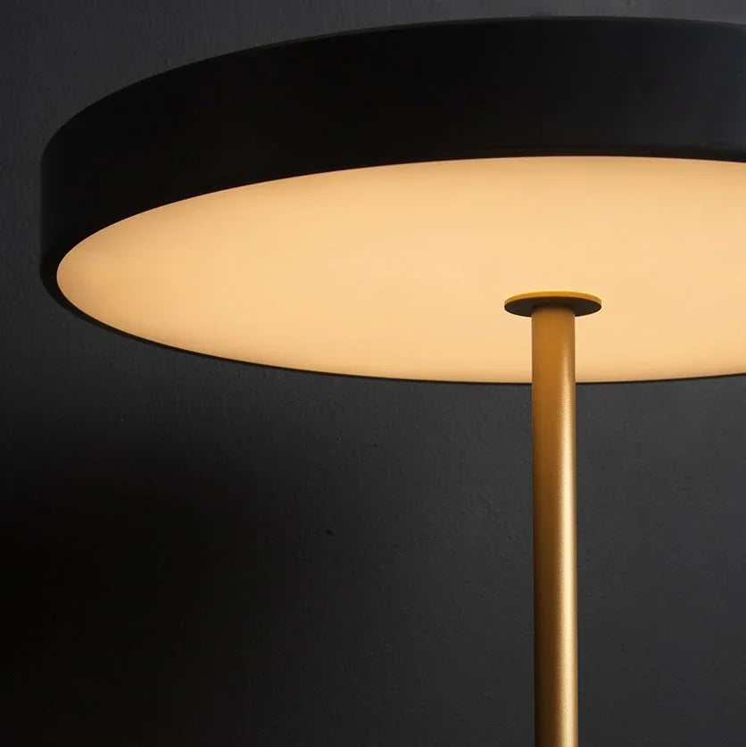 Quinndirra LED Portable Lamp