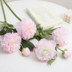Realistic Art Peony | Kelmera