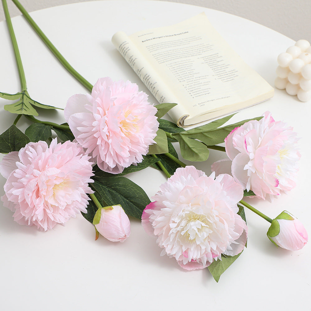 Realistic Art Peony | Kelmera
