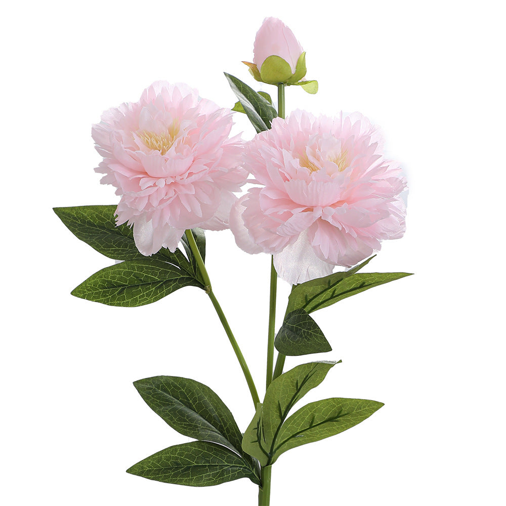 Realistic Art Peony | Kelmera