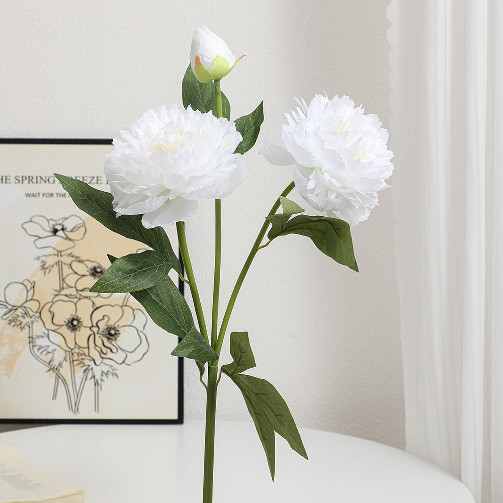 Realistic Art Peony | Kelmera