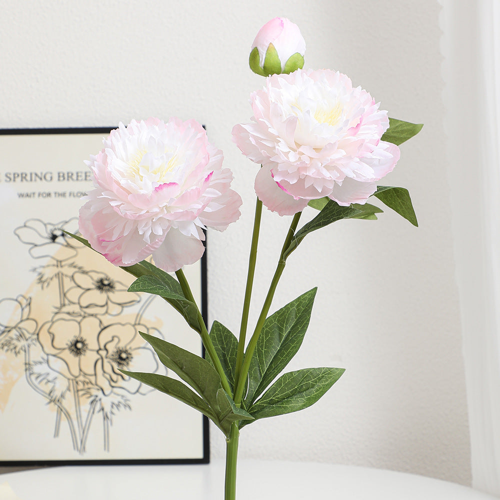 Realistic Art Peony | Kelmera