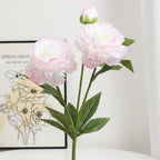 Realistic Art Peony | Kelmera