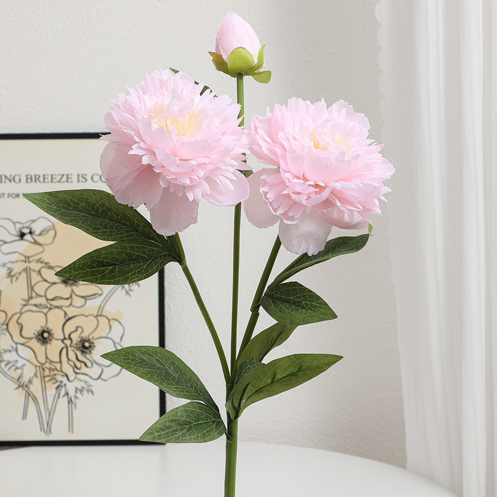 Realistic Art Peony | Kelmera
