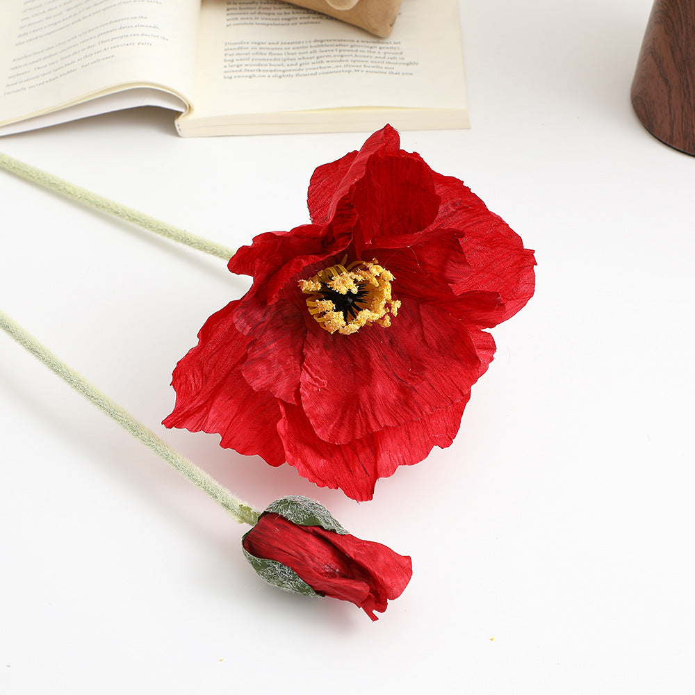 Realistic Artistic Poppy Flower | Kelmera