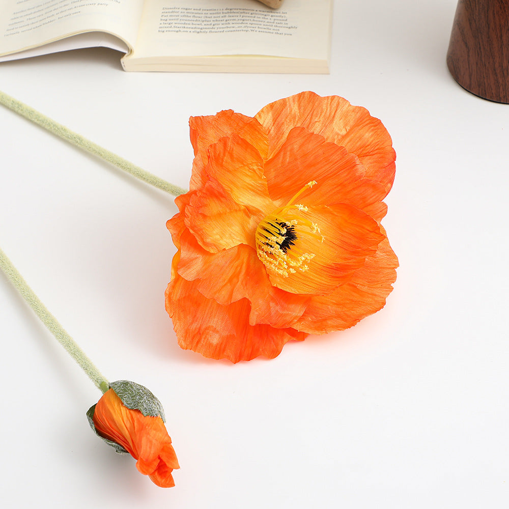 Realistic Artistic Poppy Flower | Kelmera