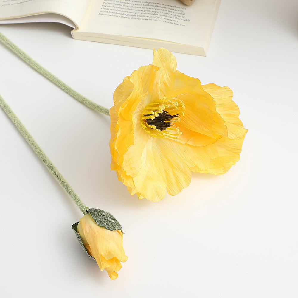 Realistic Artistic Poppy Flower | Kelmera