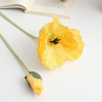 Realistic Artistic Poppy Flower | Kelmera