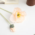 Realistic Artistic Poppy Flower | Kelmera