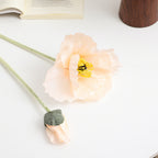 Realistic Artistic Poppy Flower | Kelmera