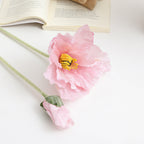 Realistic Artistic Poppy Flower | Kelmera